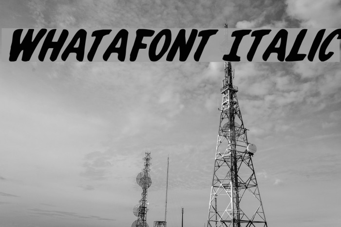 Whatafont Italic Font examples