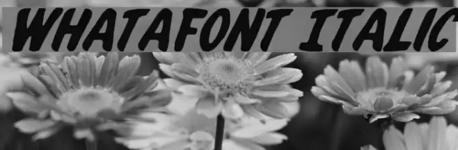 Whatafont Italic Font examples