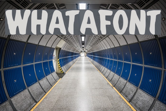 Whatafont Font examples