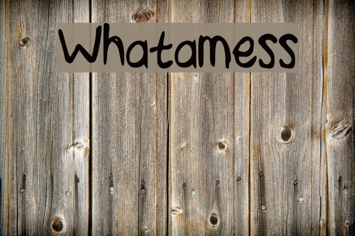 Whatamess Font examples