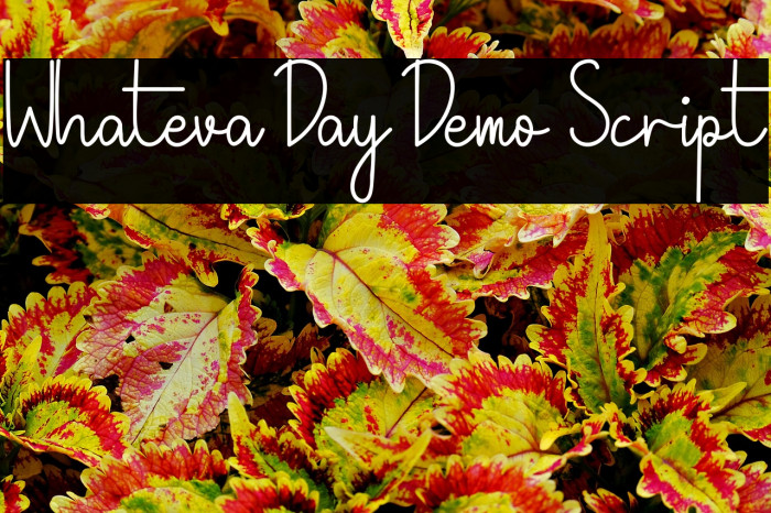 Whateva Day Demo Script Example 1