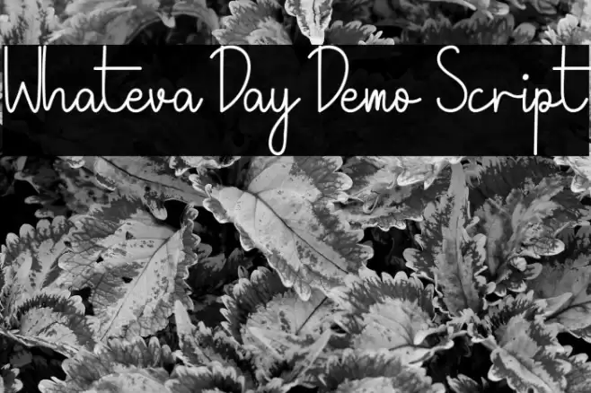 Whateva Day Demo Script Font examples