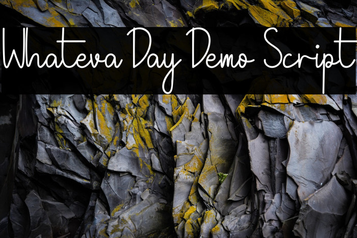 Whateva Day Demo Script Example 2