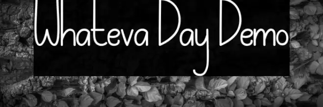 Whateva Day Demo Polices examples