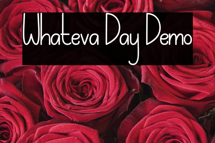 Whateva Day Demo Example 3