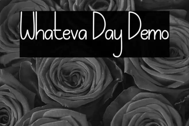 Whateva Day Demo Polices examples