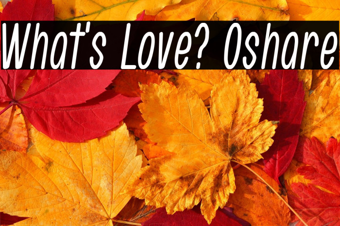 What's Love? Oshare Example 1