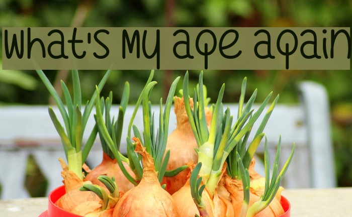 What's My Age Again Font examples