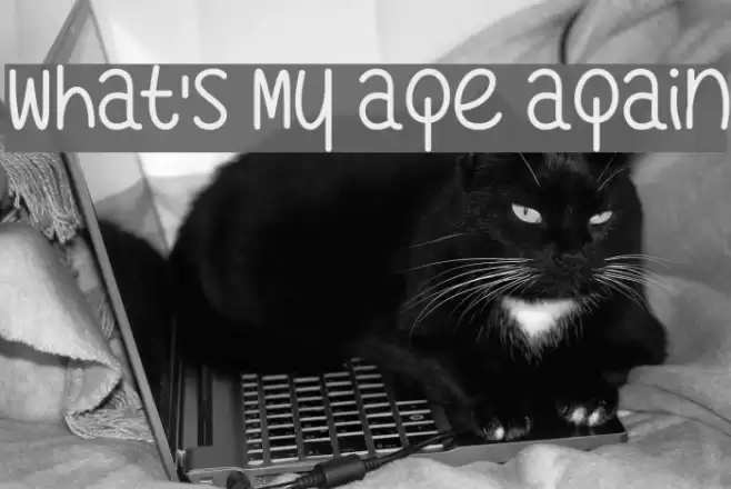 What's My Age Again Font examples