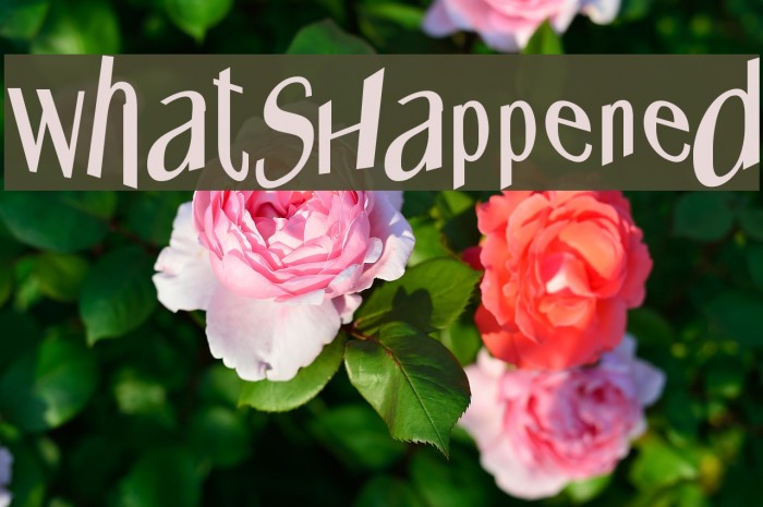 WhatsHappened Example 3