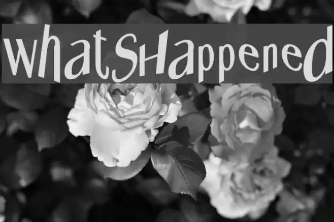 WhatsHappened Font examples