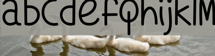 WhatsMyAgeAgain Font examples