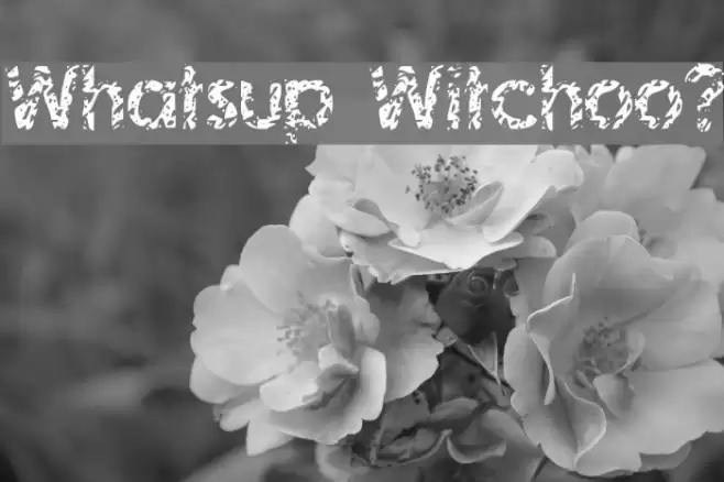 Whatsup Witchoo? Font examples
