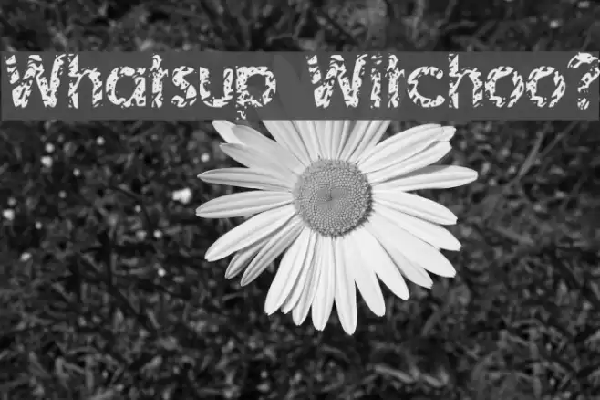Whatsup Witchoo? Font examples