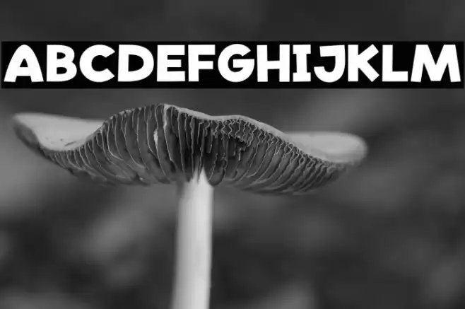 Wheat Smile Font examples