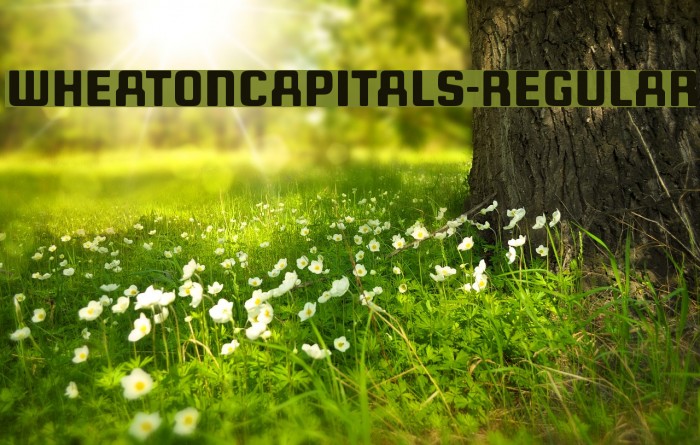 WheatonCapitals-Regular Font examples