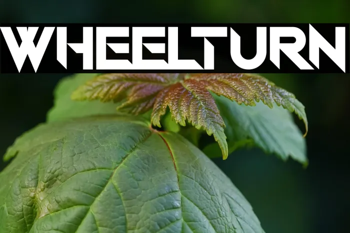 Wheel Turn Example 2