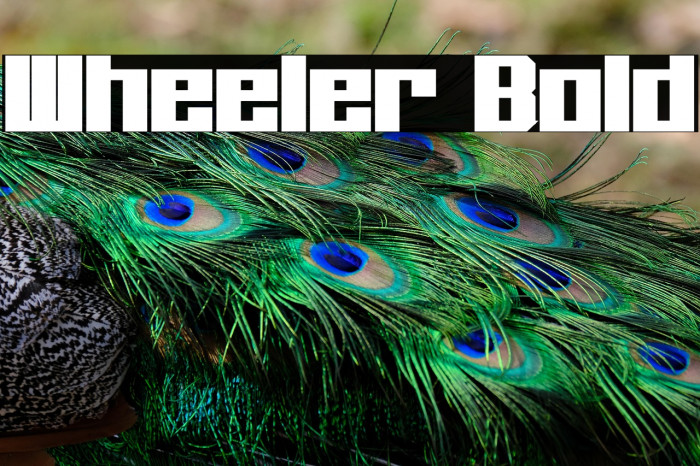 Wheeler Bold Example 3