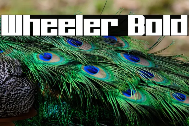 Wheeler Bold Example 3