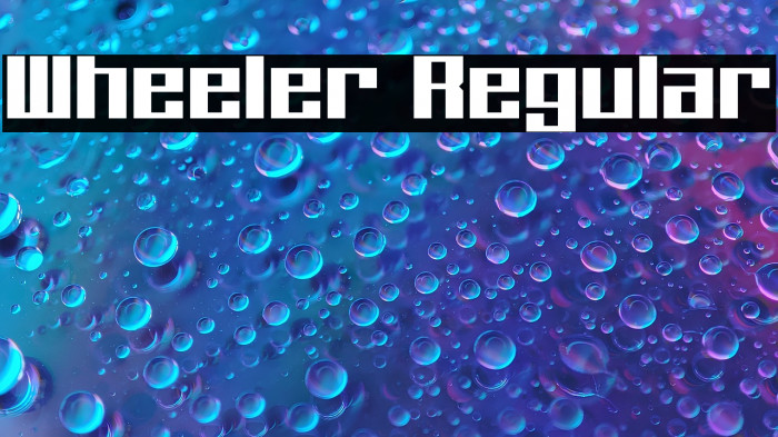 Wheeler Regular Example 1