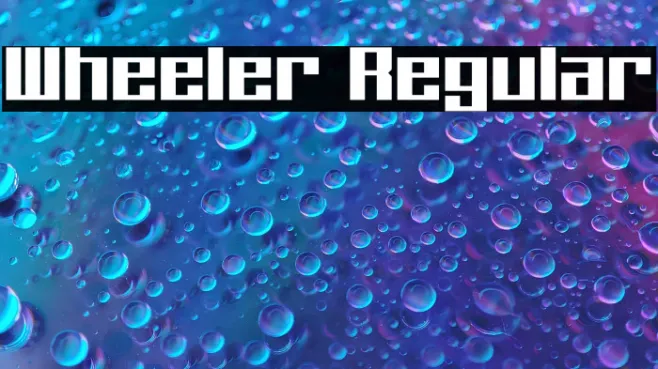 Wheeler Regular Example 1
