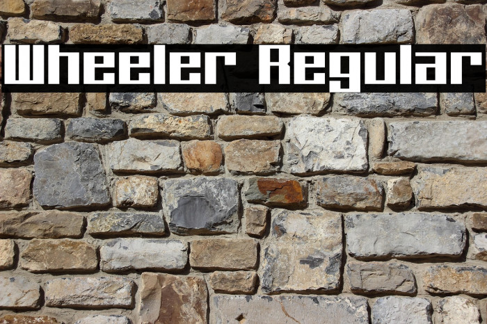 Wheeler Regular Example 2