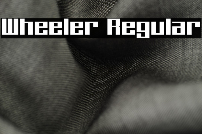 Wheeler Regular Example 3