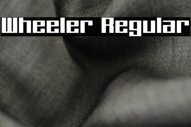 Wheeler Regular Example 3