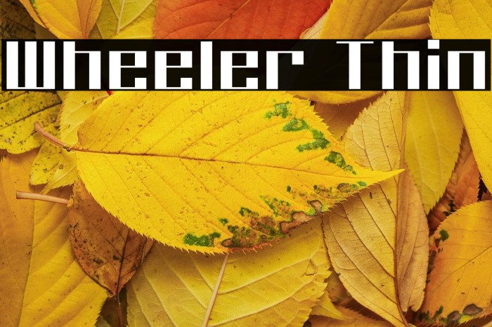 Wheeler Thin Example 1