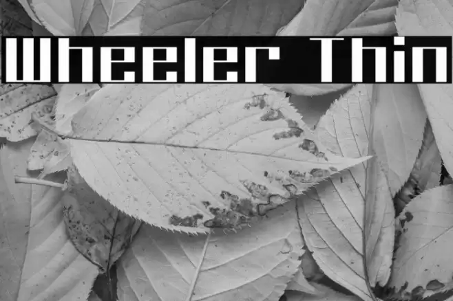 Wheeler Thin Font examples