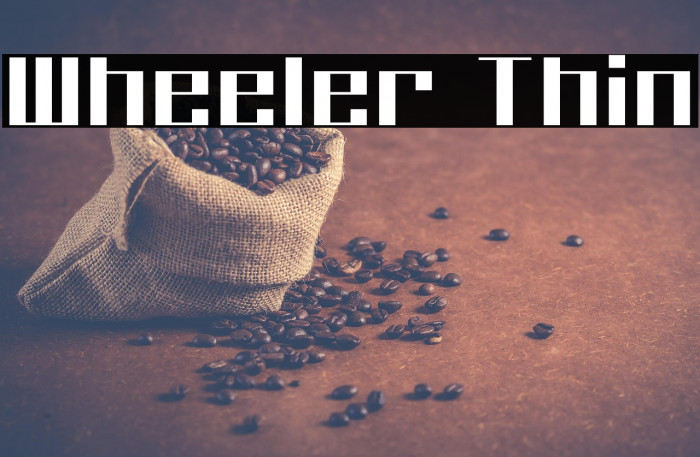 Wheeler Thin Example 2