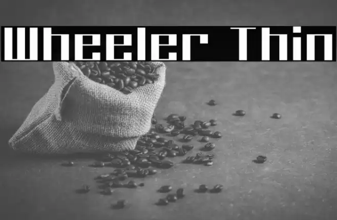 Wheeler Thin Font examples