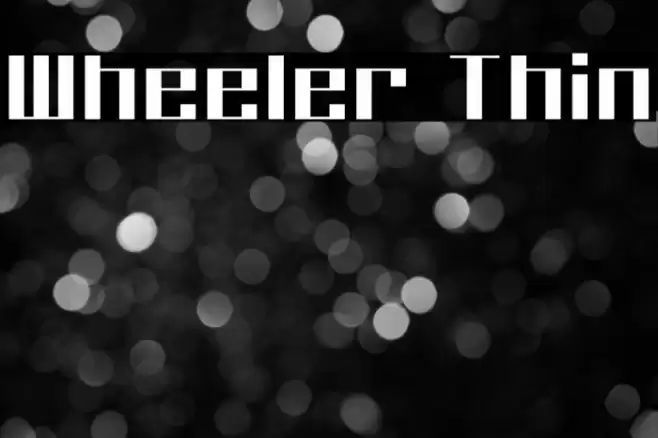 Wheeler Thin Font examples