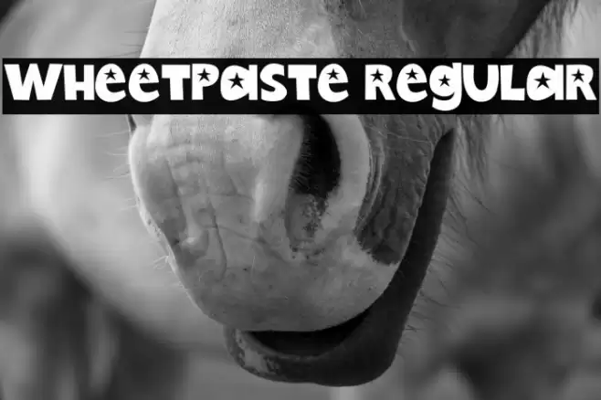 Wheetpaste Regular Polices examples