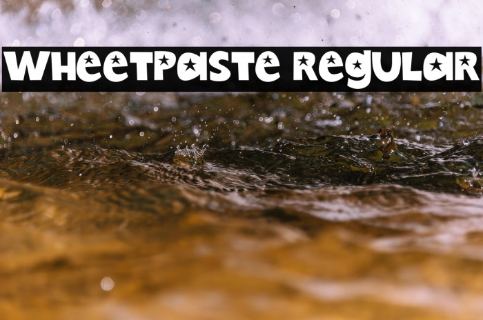 Wheetpaste Regular Example 2