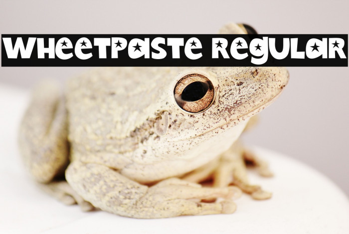 Wheetpaste Regular Example 3