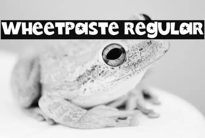 Wheetpaste Regular Polices examples