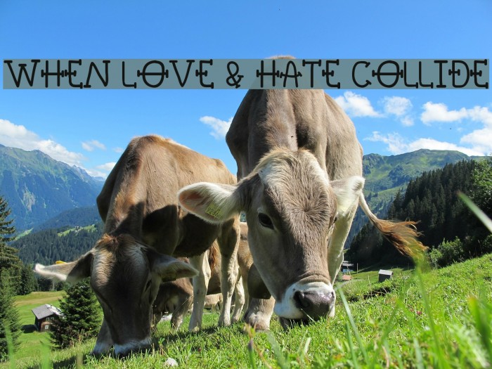 When Love & Hate Collide Font examples