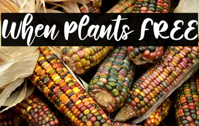 When Plants FREE Example 1