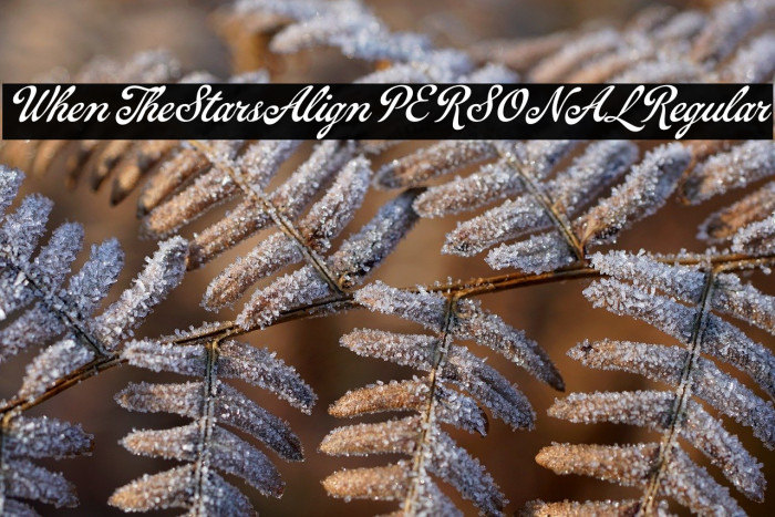 When The Stars Align PERSONAL Regular Example 3