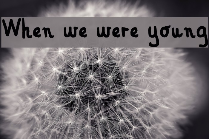 When we were young Font examples
