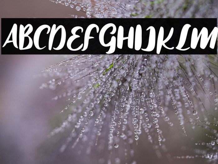 WhenPlantsFREE Example 3