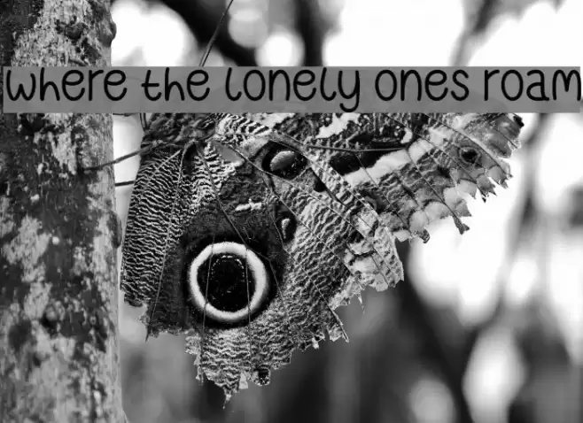 Where The Lonely Ones Roam Font examples