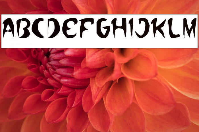 Where Wolf-Inverse Example 1