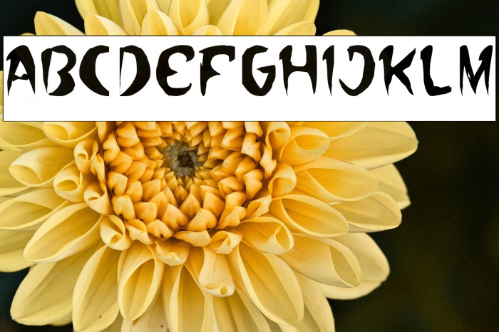 Where Wolf-Inverse Example 3