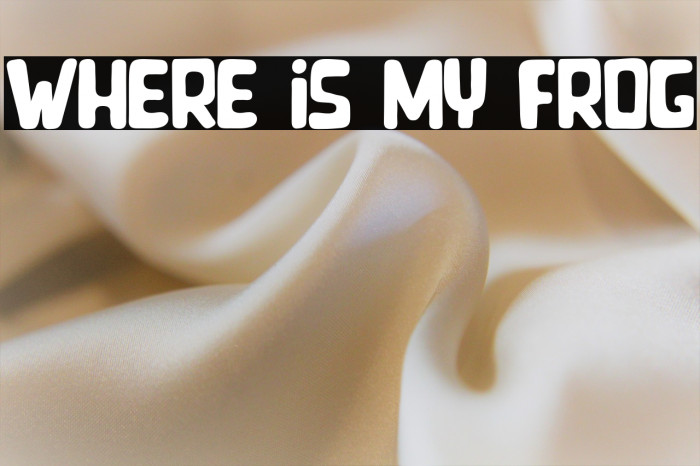 Where is my Frog Example 1