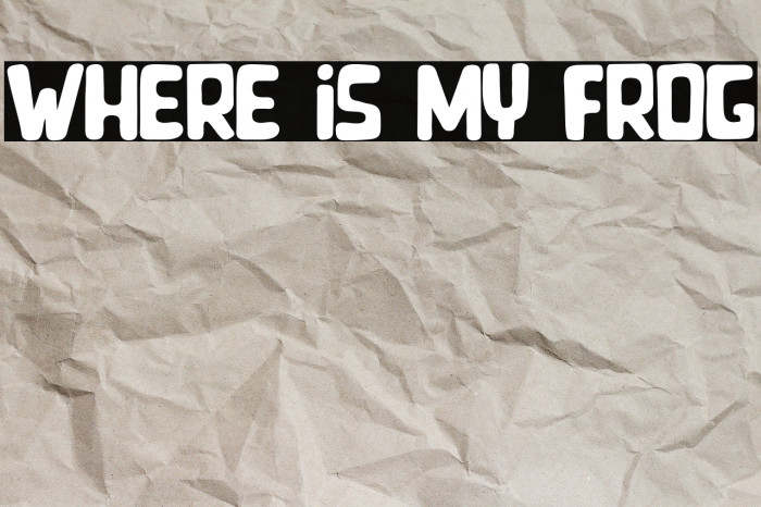 Where is my Frog Example 2