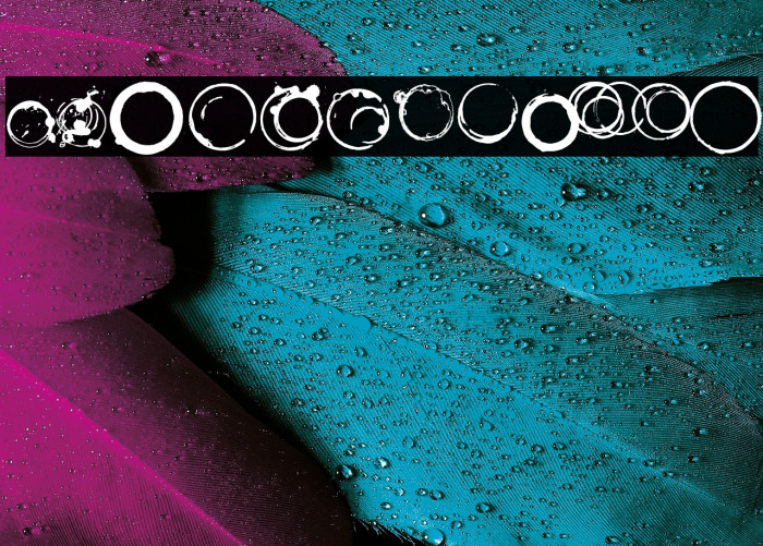 Where is my coffee cup Example 3