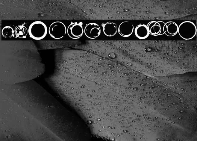 Where is my coffee cup Font examples