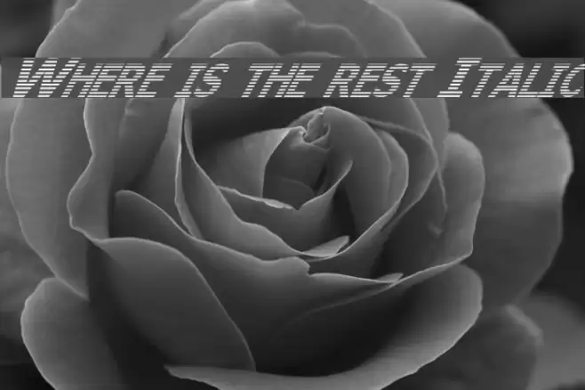 Where is the rest Italic Font examples